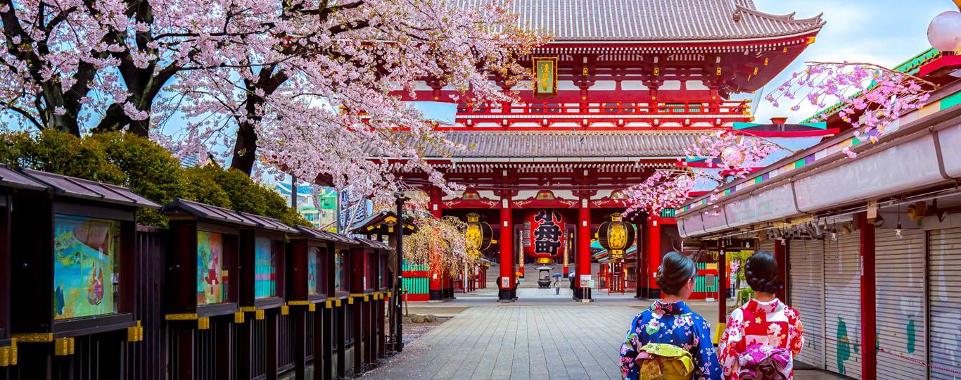 Zicht op Japanse tempel met bloesems eromheen