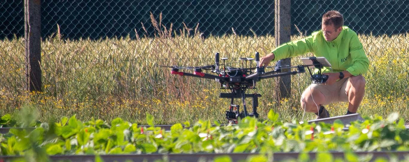 ILVO-medewerker aan het werk met een drone boven een aanplanting