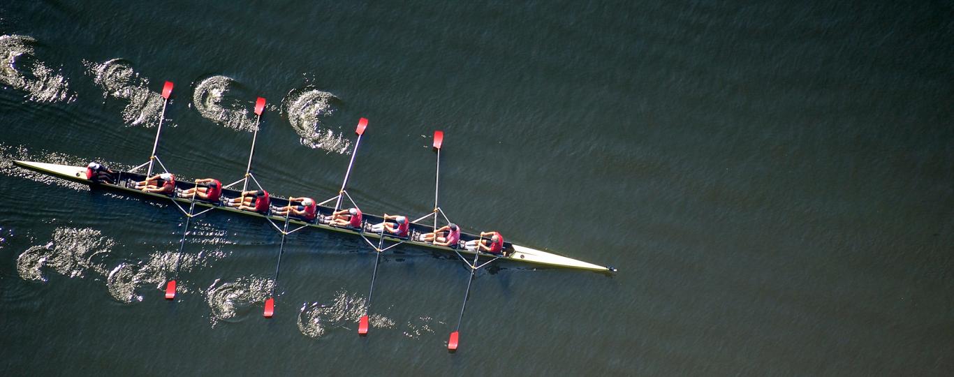 Team roeiers op het water