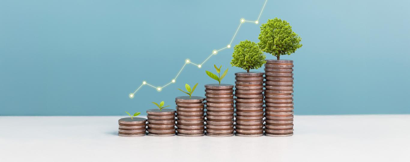 onder een grafiek staan geldstapeltjes in stijgende lijn met daarop een kiem die uitgroeit tot een boom