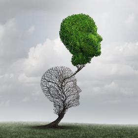 groene boomkruin groeit uit dode boomkruin in de vorm van een gelaat