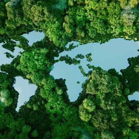 bos en water vormen wereldkaart