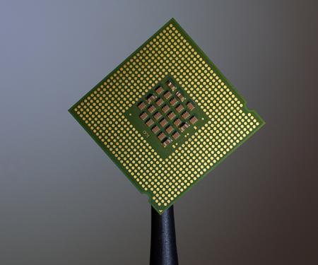 microchip