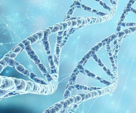 illustratie dna