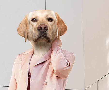 witter labrador in mensenkleren