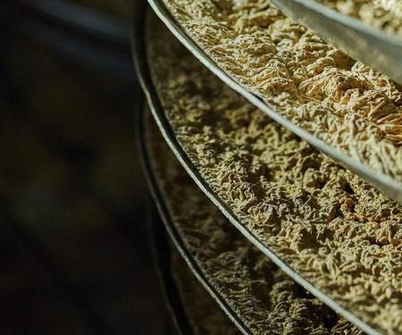 Ondiepe schalen in rekken in een van de fermentatiekamers