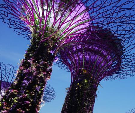 Garden by the bay Singapore
