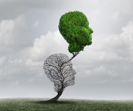 groene boomkruin groeit uit dode boomkruin in de vorm van een gelaat