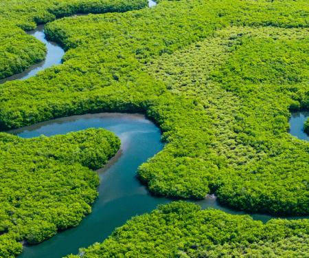 kronkelende rivier in groen landschap